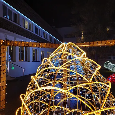 מלון Malinowski Lesny *