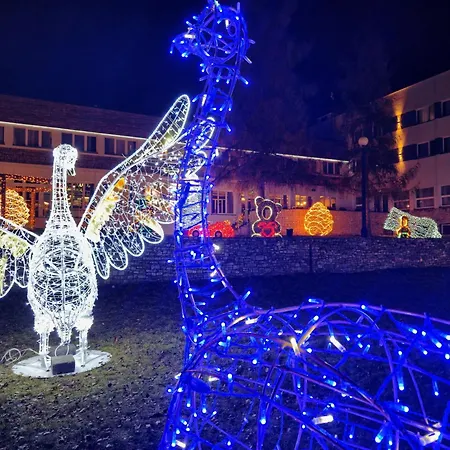Malinowski Lesny מלון גליביצ'ה