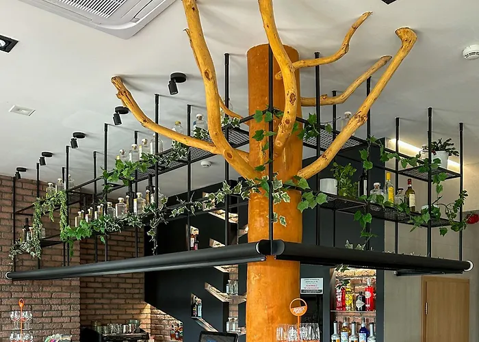 מלון Malinowski Lesny *