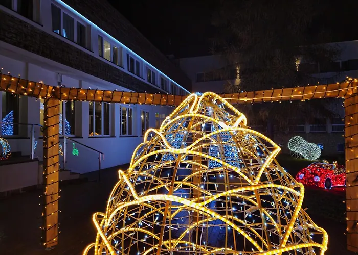 מלון Malinowski Lesny *