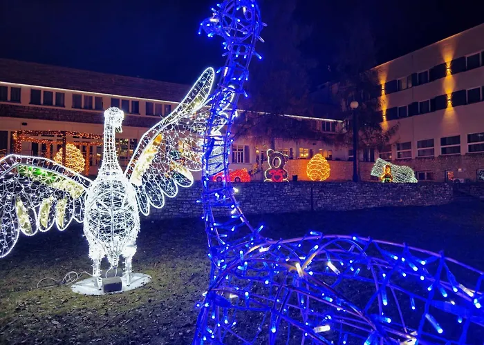 Malinowski Lesny מלון גליביצ'ה